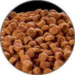 Dry Dog Food